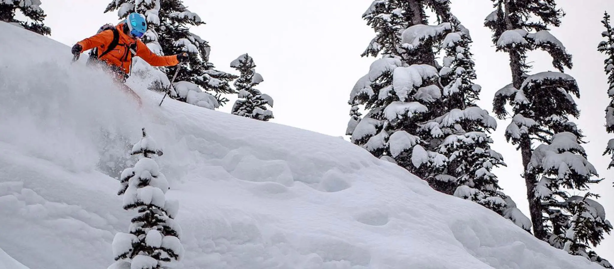 heliski-shi-hors-piste-skieur-poudreuse